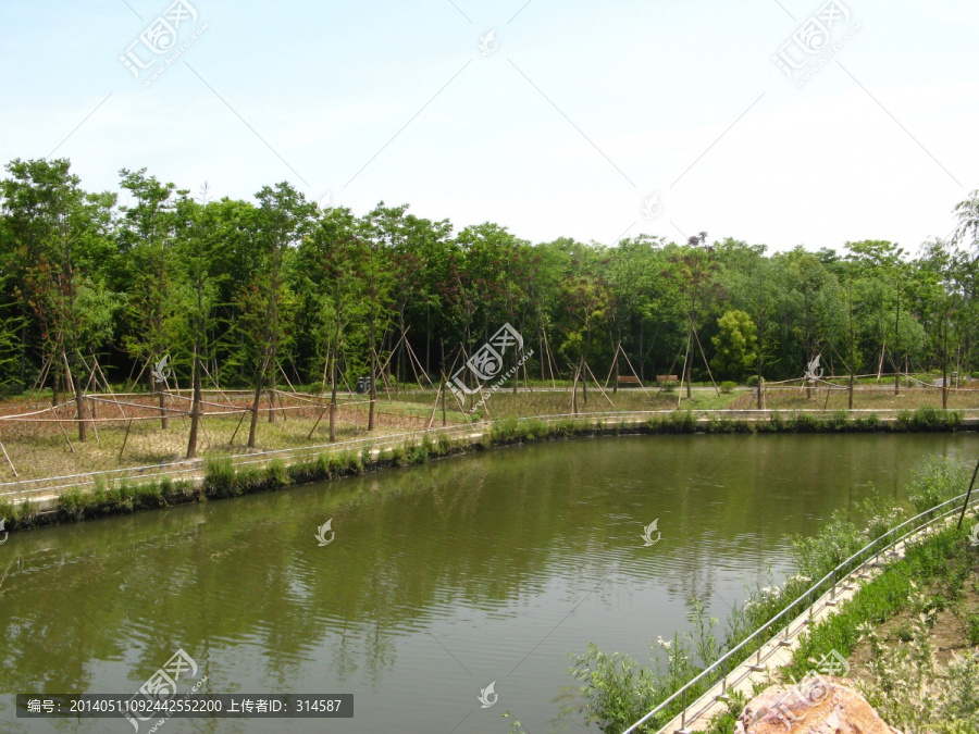 河道与小树林