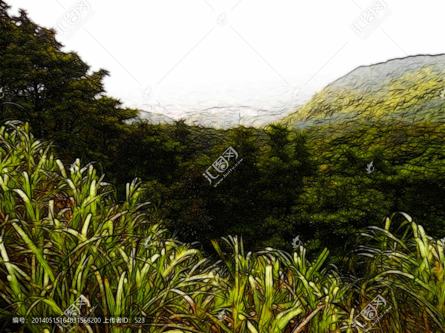 山坡叢林