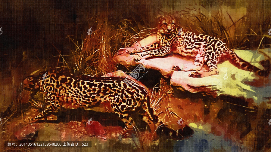 獵豹