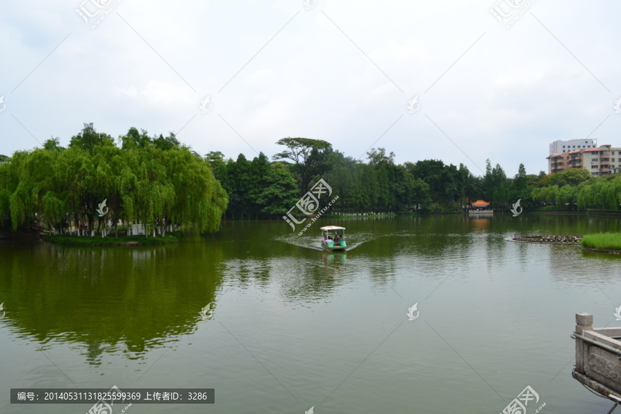 逸仙湖美景