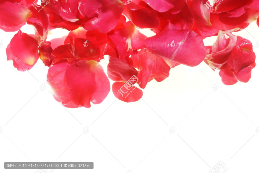 红色花瓣