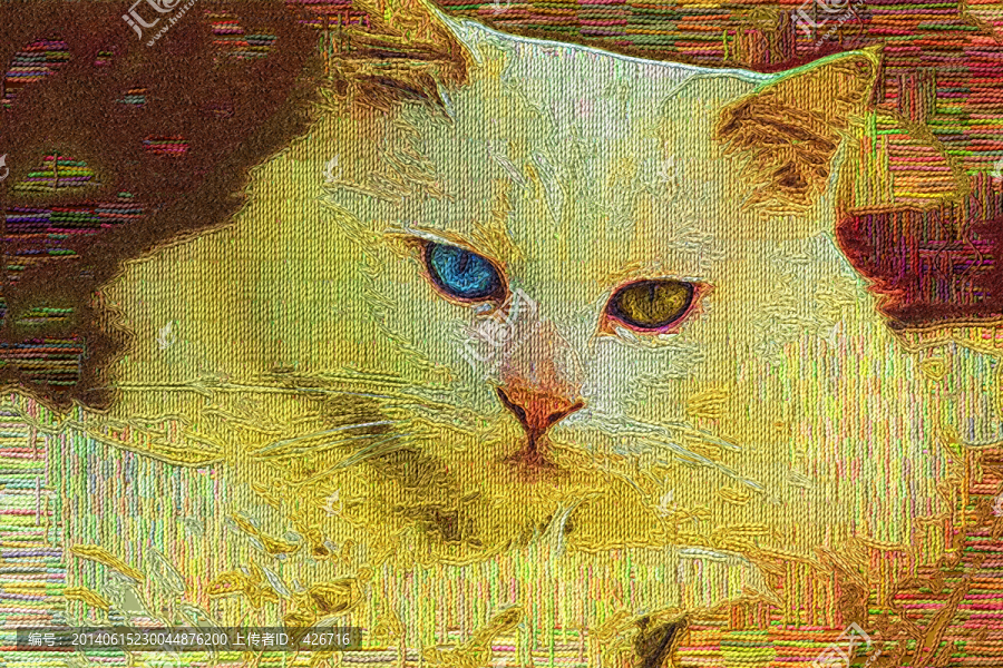 貓