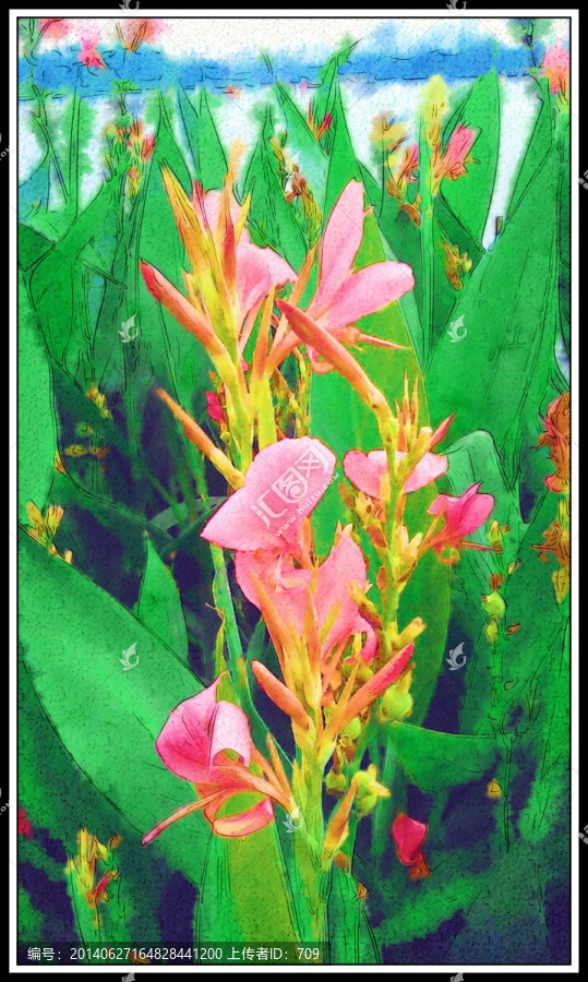 花卉水彩