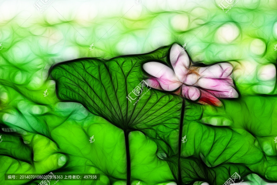 裝飾畫,荷花