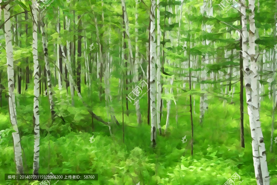 電腦水彩畫,白樺林