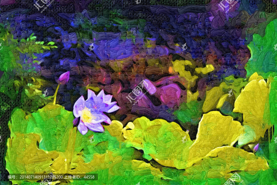 荷花