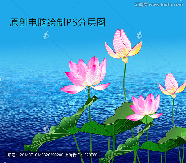 荷花圖案繪制