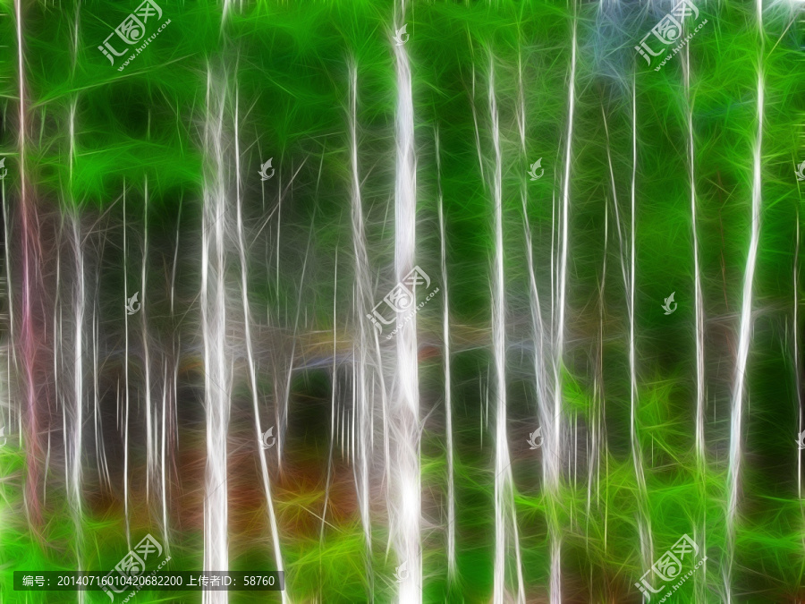 電腦畫,夢幻白樺林