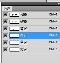 玫瑰