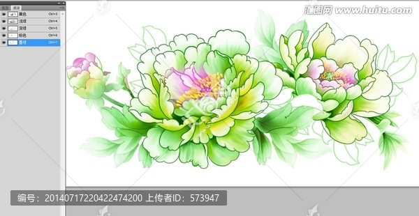 淡雅牡丹
