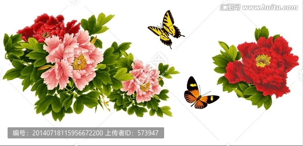 富貴牡丹