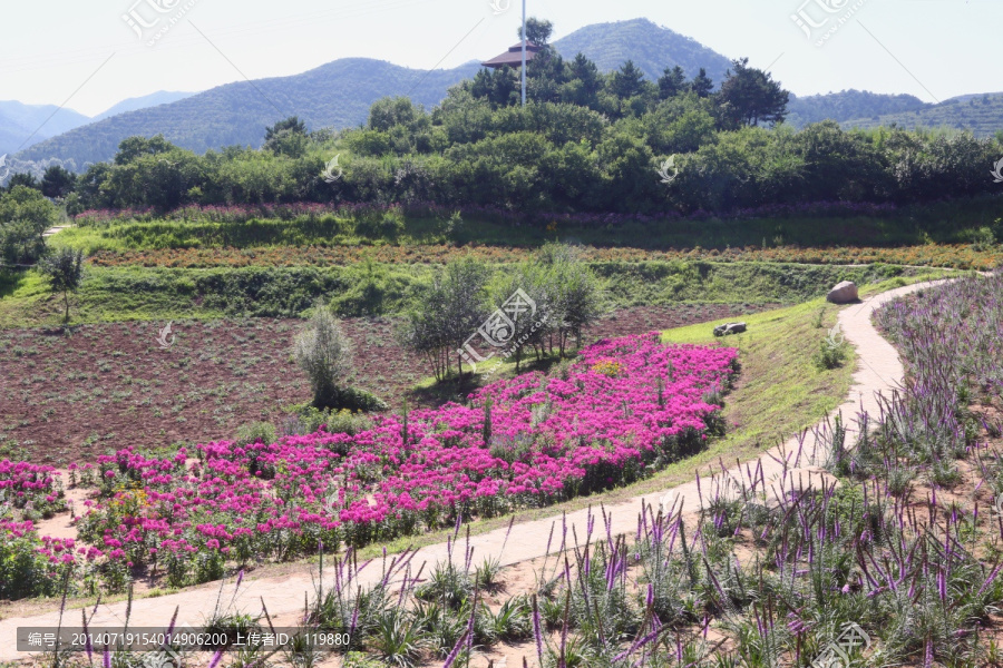 四季花海风景区