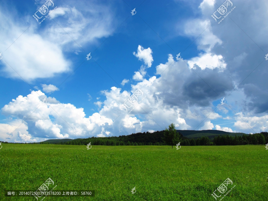 原野夏日