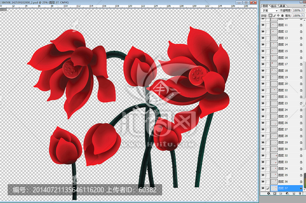 荷花