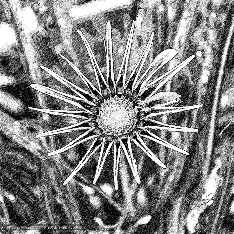 花素描效果（合層）