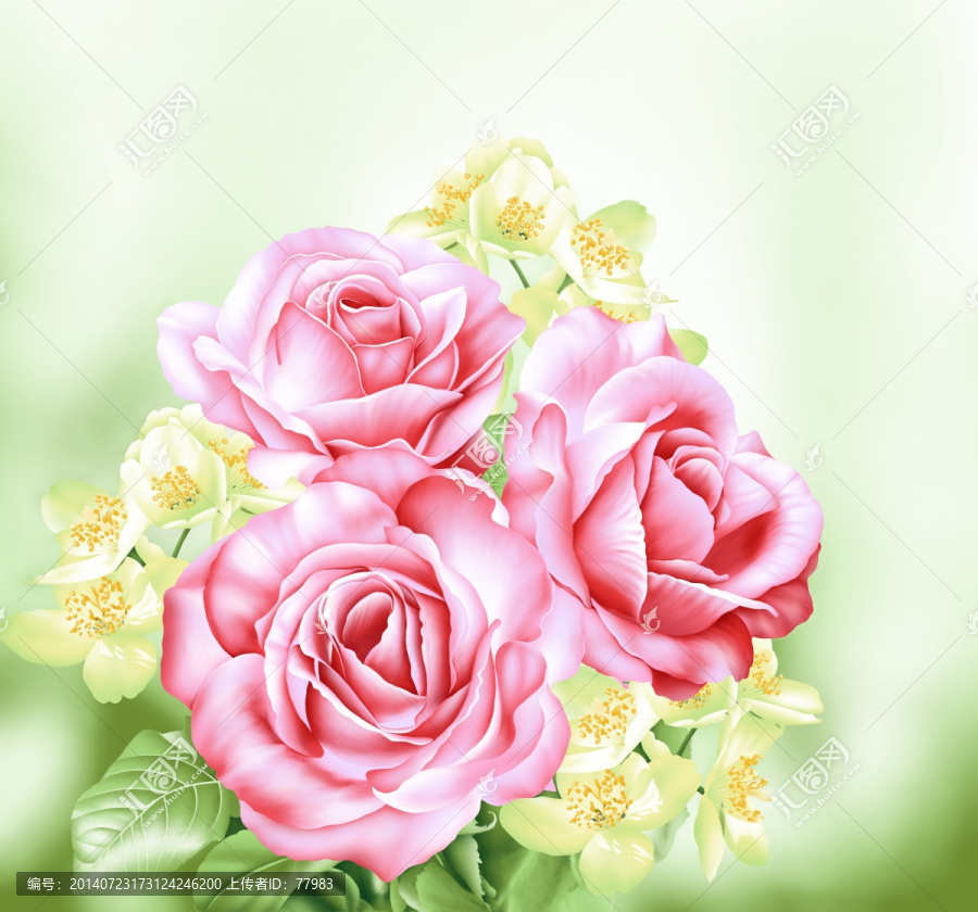 玫瑰花
