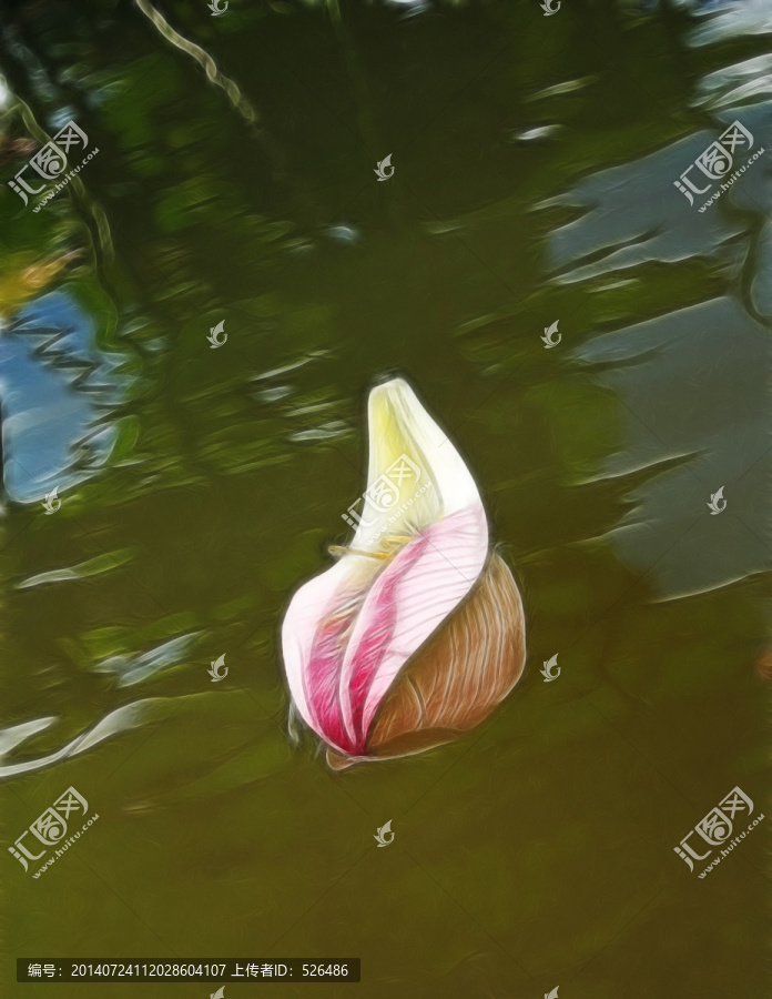 花瓣