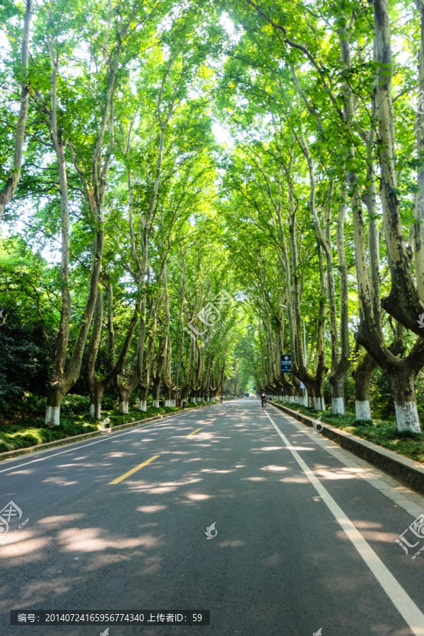 南京,钟山景区