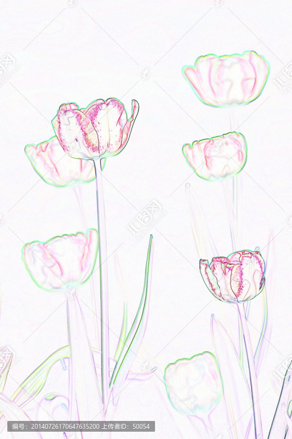 藝術(shù)花卉,郁金香