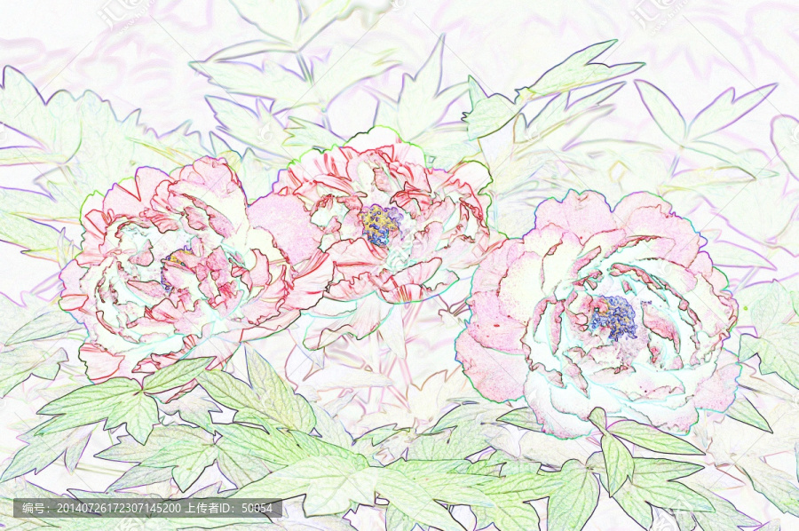 藝術(shù)花卉,牡丹