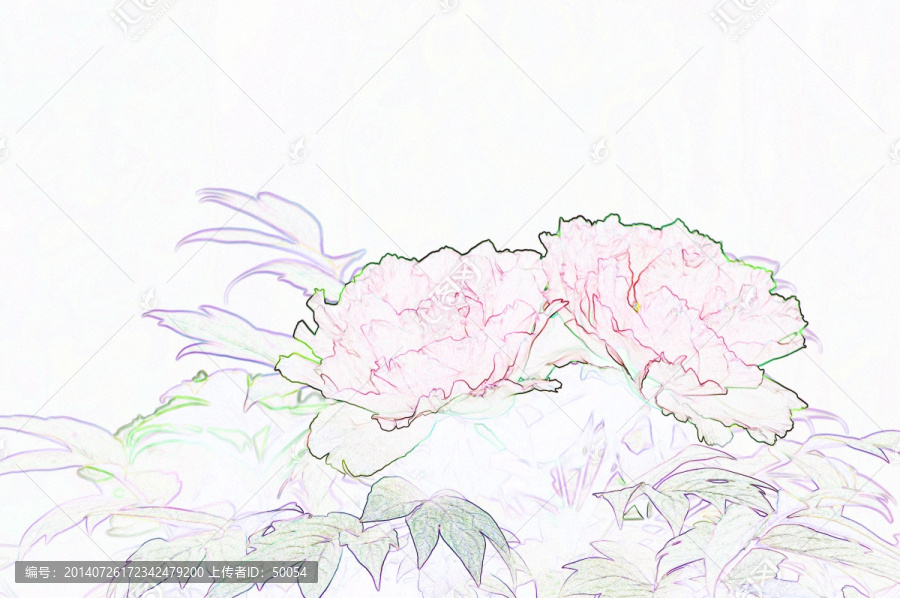 藝術(shù)花卉,牡丹花