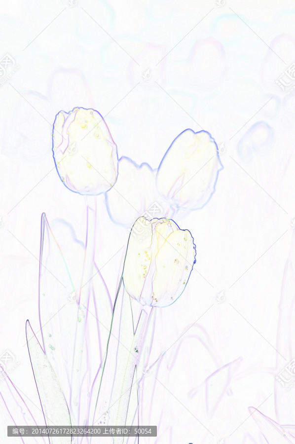 藝術(shù)花卉,郁金香
