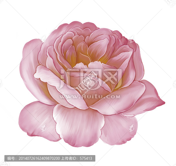 玫瑰小朵花