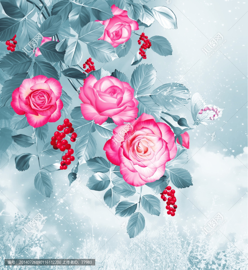 漂亮玫瑰花