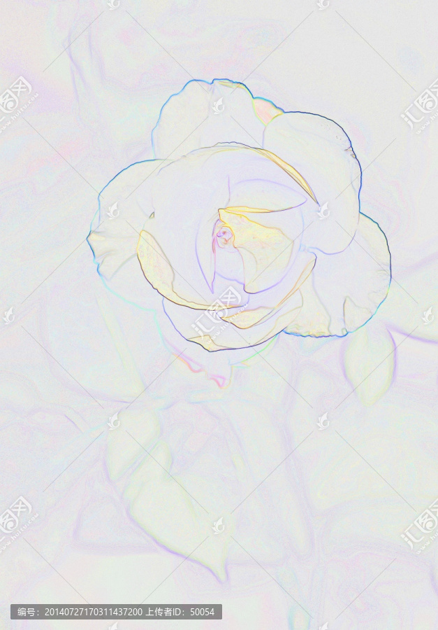 藝術(shù)花卉,玫瑰花