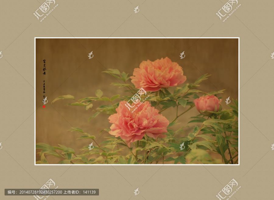 畫意牡丹,畫意攝影,裝飾畫