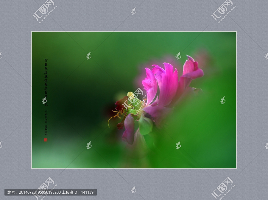畫意牡丹,畫意攝影,裝飾畫