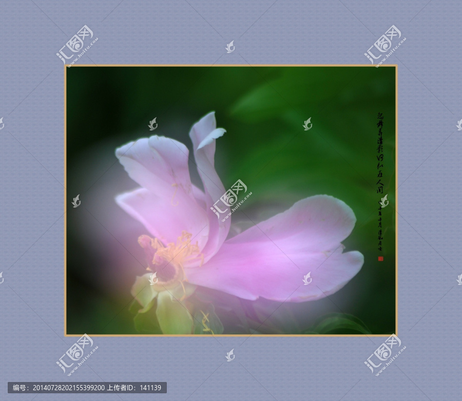 畫(huà)意牡丹,畫(huà)意攝影,裝飾畫(huà)