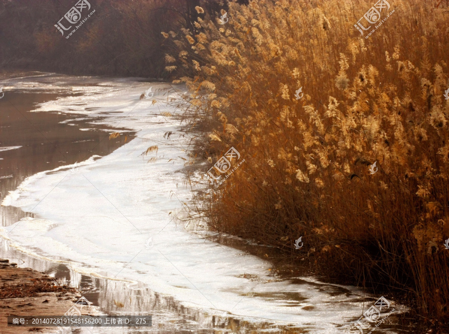 黄河湿地,冬天