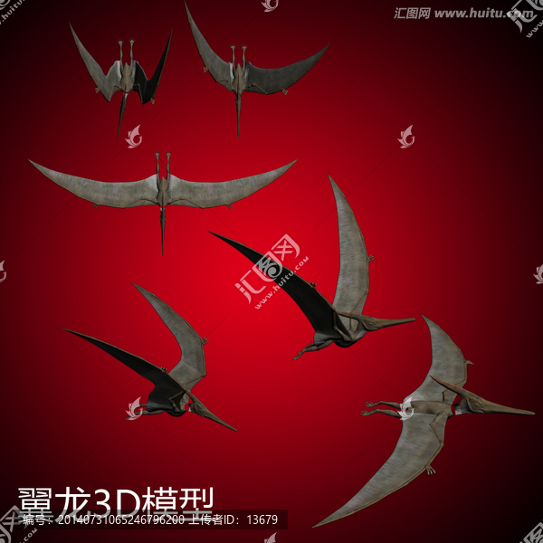 翼龍3D模型