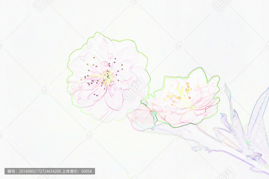 電腦繪畫,碧桃花