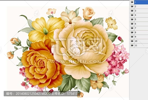 玫瑰朵花