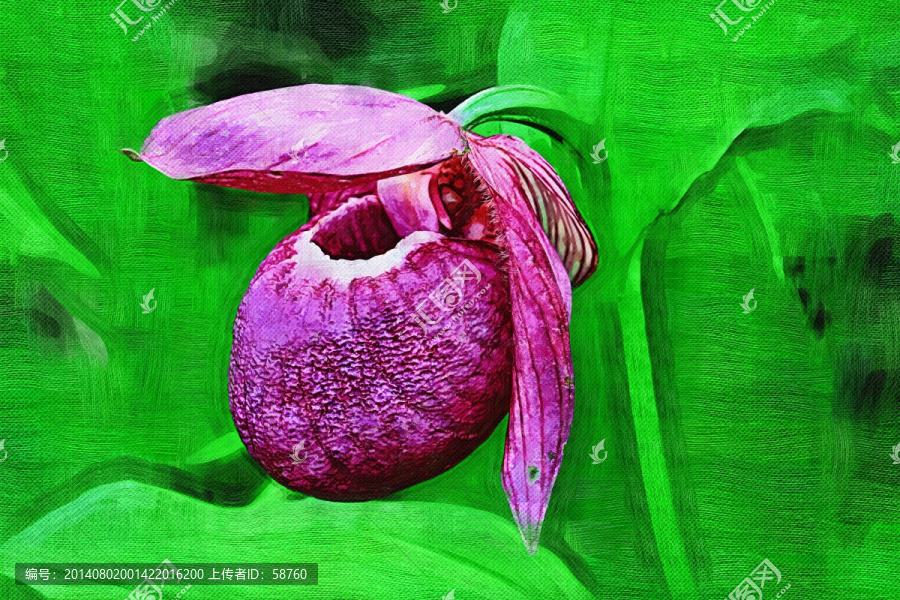 電腦油畫,花之韻