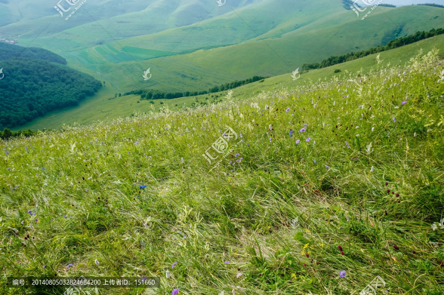 山坡