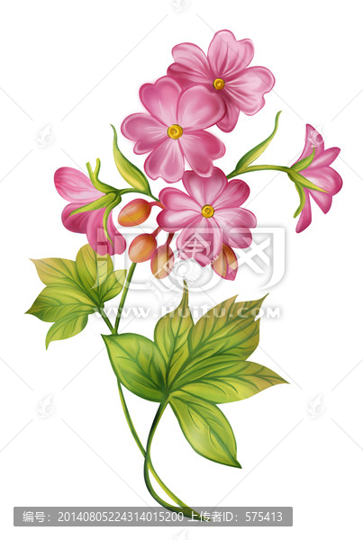 朵花