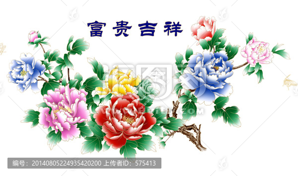 牡丹花