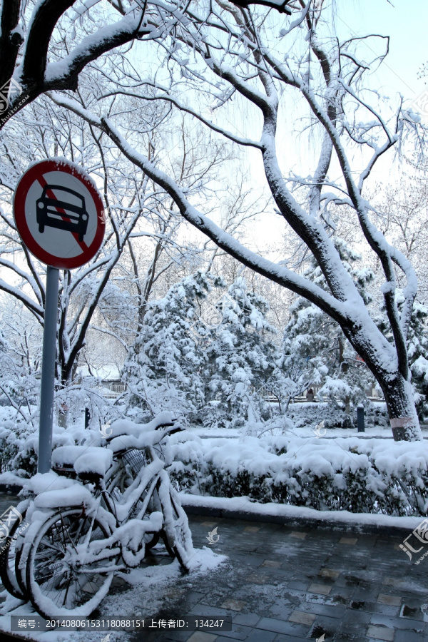 雪停了