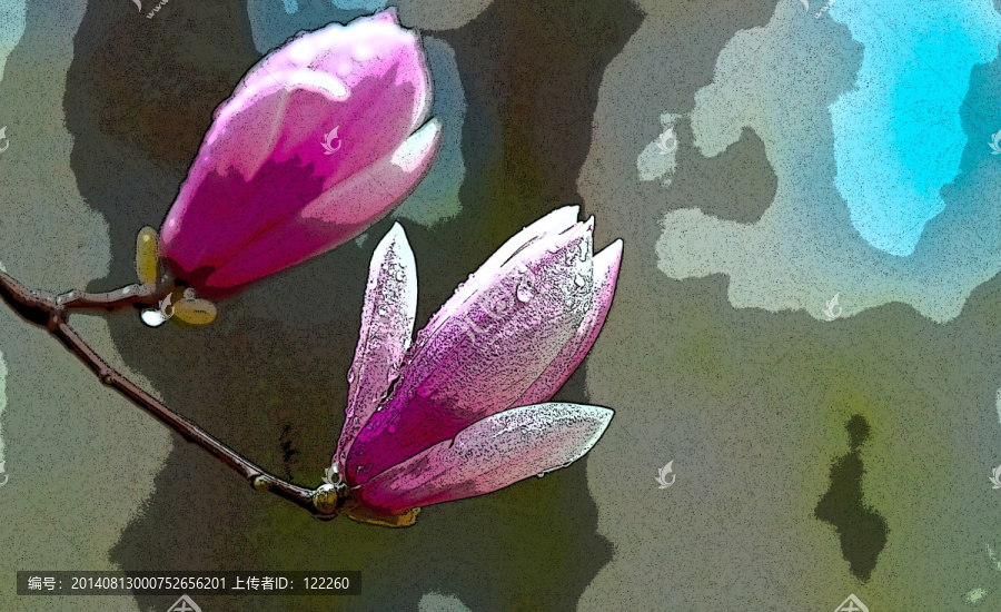 玉兰花,装饰画