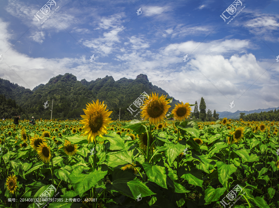 齐云山风光