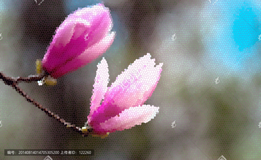 玉蘭花,裝飾畫