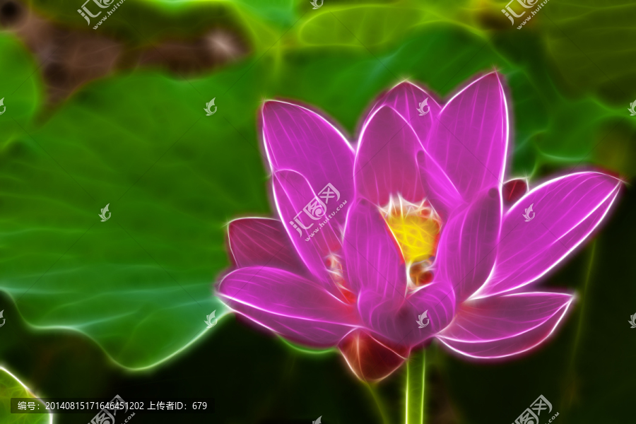 荷花,裝飾畫(huà)