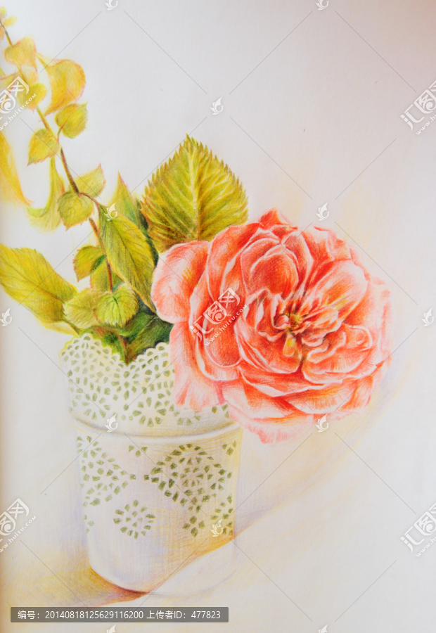 彩鉛花卉月季
