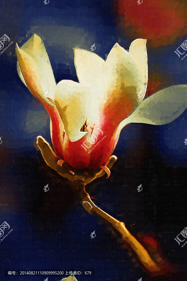 花卉,花朵,油畫(huà)