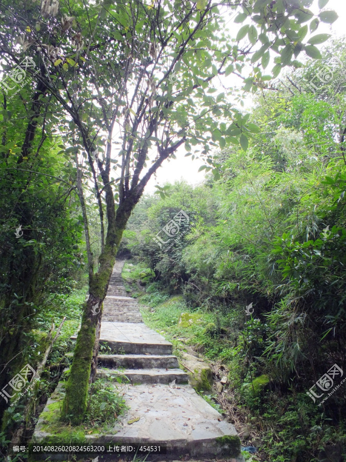 登山步道