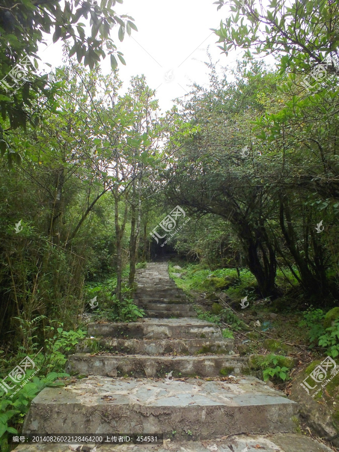 登山步道