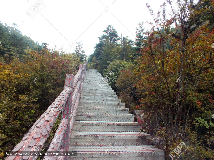 登山步道